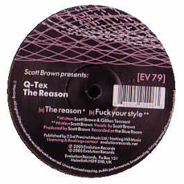 The Reason [Vinyl Single] von Evolution
