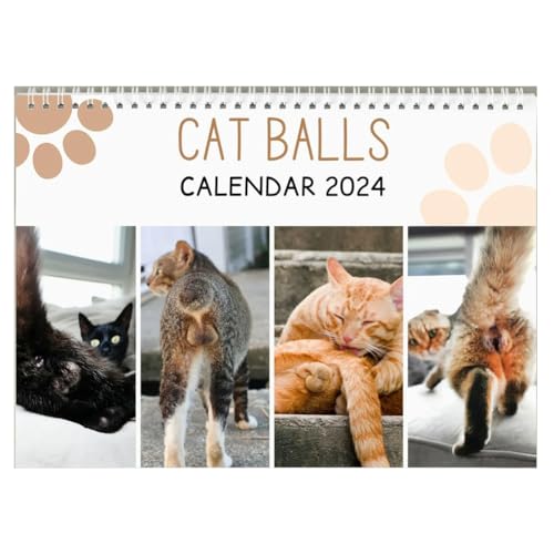 Evvmnaks 1 Stück Kalender Katze lustig – lustiges Geschenk – Kalender für den Hintern der Katze 2024 wie abgebildet – Fantasiegeschenke – Katzen-Hoden – weißer Elefant von Evvmnaks