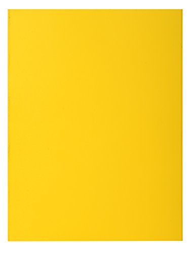 CLAIREFONTAINE 800011E Box 100 Unterordner, gelb von Exacompta