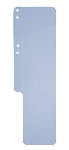 Exacompta 13706B Aktenschwänze (aus Recycling-Karton, 100 x 318 mm) 8 x 100er Pack, hellblau von Exacompta