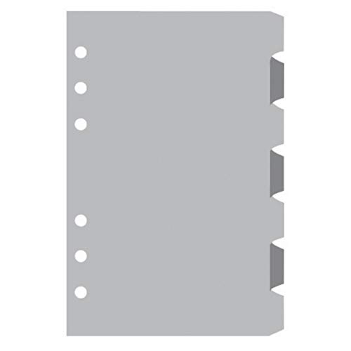 Exacompta 18222e Farbe Trennwände Refill für Terminplaner Exatime 17 Für Organizer sortiert Farbe (Set von 7 von Exacompta