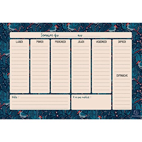 Exacompta - 337002E - Hebdo Planner Color Design - 26,5 x 18 cm - Visuell blau Exacompta - 337002E - Hebdo Planner Color Design - 26,5 x 18 cm - Visuell blau von Exacompta