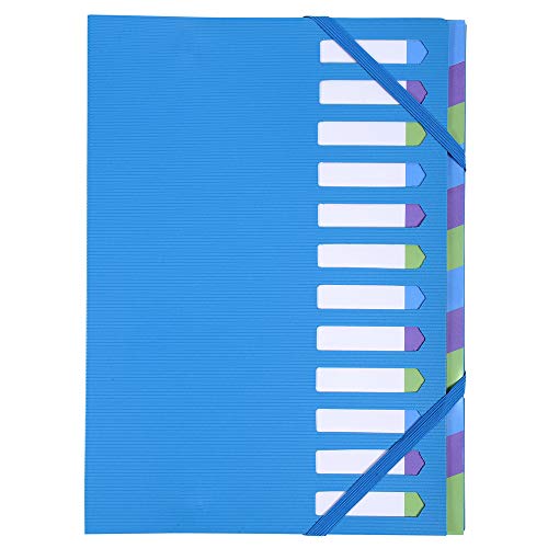 Exacompta 52362E Premium Ordnungsmappe Campus Neon Hardcover. Einband aus stabilem Kunststoff DIN A4 12 vollfarbige Fächer aus Karton mit dehnbarem Rücken und 2 Gummizügen Indexfenster blau von Exacompta