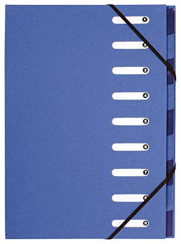 Exacompta 52982E Premium Ordnungsmappe Forever. Aus Recycling-Karton DIN A4 9 Fächer dehnbarer Rücken und 2 Gummizüge Register-Mappe Eckanner-Mappe Blauer Engel Hellblau Exacompta 52982E Premium Ordnungsmappe Forever. Aus Recycling-Karton DIN A4 9 Fächer dehnbarer Rücken und 2 Gummizüge Register-Mappe Eckanner-Mappe Blauer Engel Hellblau von Exacompta