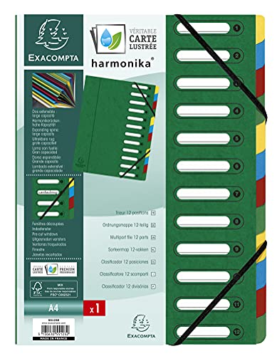 Exacompta 55123E Premium Ordnungsmappe Harmonika. Aus extra starkem Colorspan-Karton DIN A4 12 Fächer und 2 Gummizüge mit Indexfenster und dehnbarem Rücken Register-Mappe grün von Exacompta