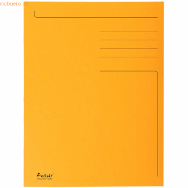 100 x Exacompta Aktenmappe A4 280 g/qm Karton orange 100 x Exacompta Aktenmappe A4 280 g/qm Karton orange von Exacompta