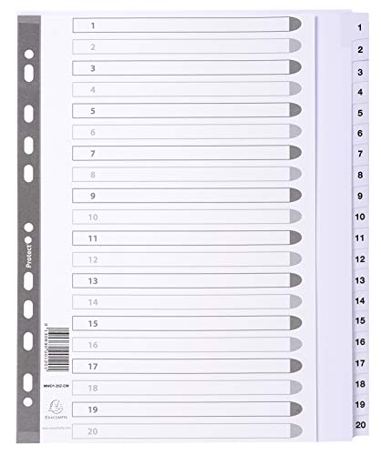 Exacompta MWD1-20Z-EW Karton-Register 1-20 für DIN A4 MAXI aus Karton 20-teilig volle Höhe 24 x 29,7 cm weiß, verstärkte Taben mit Indexseite Trennblätter Trennstreifen Ordner-Register von Exacompta