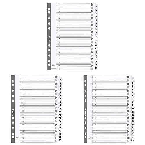 Exacompta MWD1-20Z Karton-Register 1-20 für DIN A4 aus Karton 20-teilig volle Höhe 21 x 29,7 cm weiß, verstärkte Taben mit Indexseite Trennblätter Trennstreifen Ordner-Register (Packung mit 3) von Exacompta