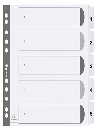 Exacompta MWD1-5Z Karton-Register 1-5 für DIN A4 aus Karton 5-teilig volle Höhe 21 x 29,7 cm weiß, verstärkte Taben mit Indexseite Trennblätter Trennstreifen Ordner-Register von Exacompta