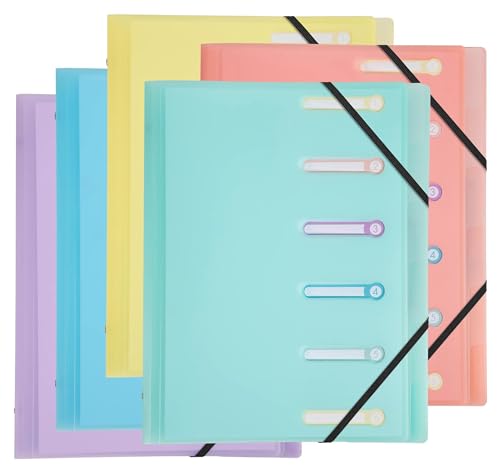 Exacompta - Ref 56170E – Karton mit 10 Ordnern Chromalin Pastell – 3 Klappen – mit Gummibändern und ausgeschnittenen Fenstern – Deckel und Innenseite aus PP – 6 Fächer – Maße: 25 x 32 cm – für A4 – Exacompta - Ref 56170E – Karton mit 10 Ordnern Chromalin Pastell – 3 Klappen – mit Gummibändern und ausgeschnittenen Fenstern – Deckel und Innenseite aus PP – 6 Fächer – Maße: 25 x 32 cm – für A4 – von Exacompta