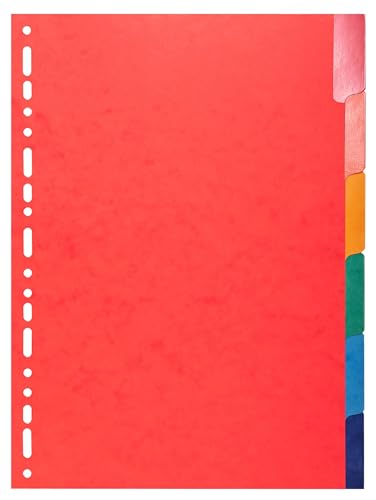 Exacompta - Ref. 2206E – Karton mit 25 Registern aus glänzendem Karton, 225 g/m², FSC® mit 6 farbigen neutralen Registern – verstärkt und laminiert – verstärktes Lochband – Format zum Ordnen, A4 von Exacompta