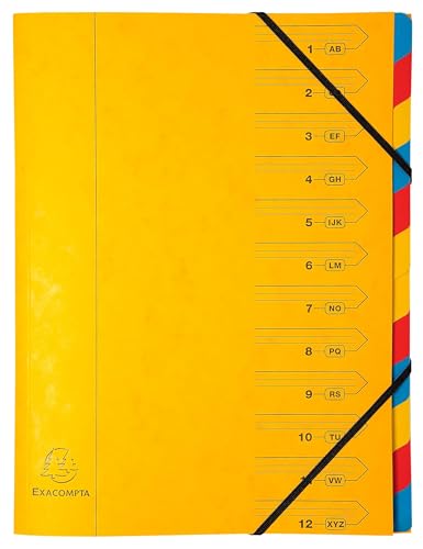 Exacompta - Ref. 54129E – Karton mit 8 Ordnern mit Klammerrücken – mit Gummibändern – bedruckter Deckel aus Glanzkarton und Innenseite aus recycelter Karte – 12 Fächer – Maße: 24,5 x 32 cm – für A4 Exacompta - Ref. 54129E – Karton mit 8 Ordnern mit Klammerrücken – mit Gummibändern – bedruckter Deckel aus Glanzkarton und Innenseite aus recycelter Karte – 12 Fächer – Maße: 24,5 x 32 cm – für A4 von EXACOMPTA