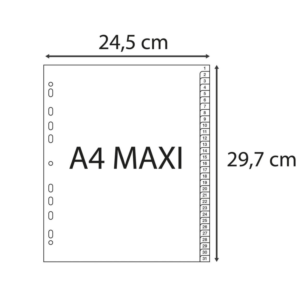 Exacompta Register Register A4+ Tlg 1-31 PP grau Grau von Exacompta