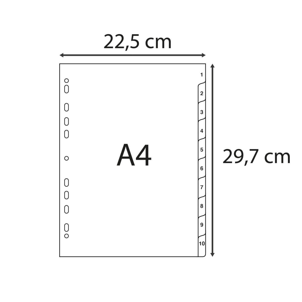 Exacompta Register Register A4 PP 1-10tlg weiss Grau von Exacompta