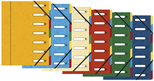 Ordnungsmappe Harmonika Hat täuschend echt mit Haargummis Nature Future Karte Lustree 7 Fächer Ordnungsmappe Harmonika Hat täuschend echt mit Haargummis Nature Future Karte Lustree 7 Fächer von Exacompta