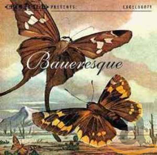 Bauer - Baueresque von Excelsior