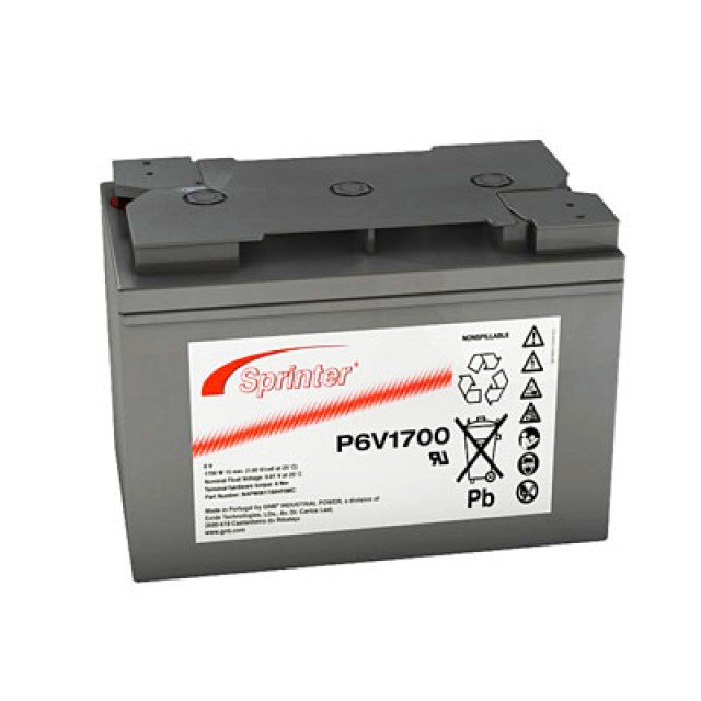 Exide Sprinter P6V1700 Blei Akku mit M8 Schraubanschluss 6V, 122000mAh von Exide