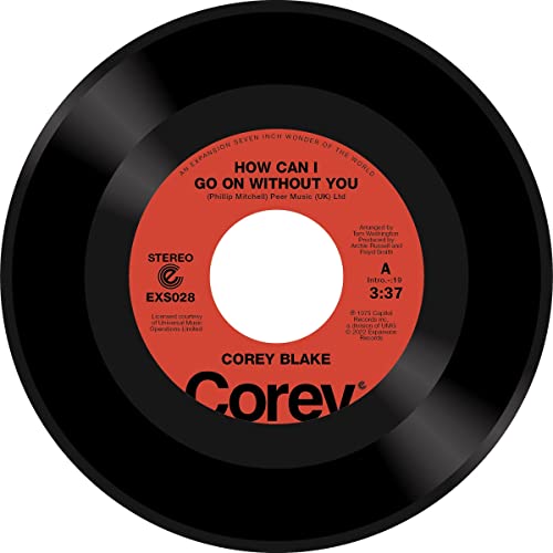 How Can I Go on Without You/Your Love Is Like... [Vinyl Single] von Expansion (Rough Trade)
