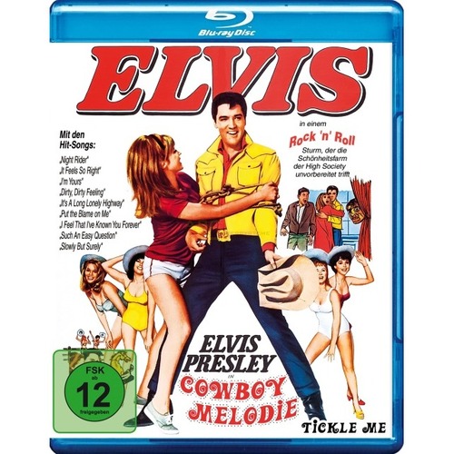 Cowboy Melodie (Blu-ray) von Explosive Media