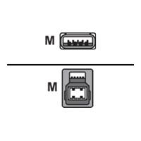 Exsys EX-K1572V - USB-Kabel - 9-polig USB Typ A (M) - 9-polig USB Typ B (M) - 2,0m (USB3.0) (EX-K1572V) von Exsys