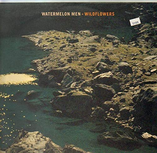 Wildflowers [Vinyl LP] von Extraplatt (EXTRAPLATTE Musikproduktion)