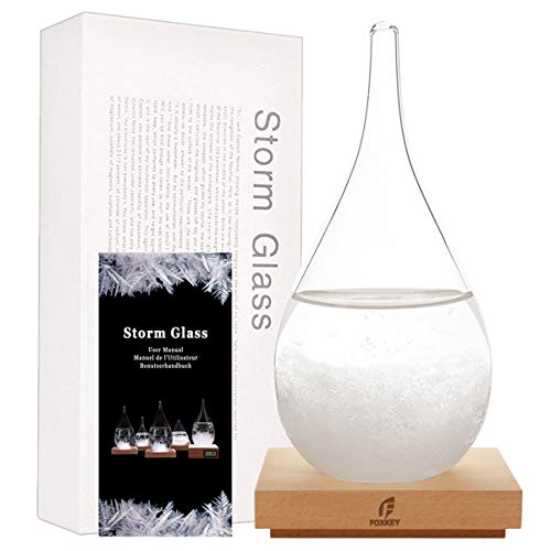 Storm Glass Wetterstation Dekoratives Indoor Barometer Glas Wettervorhersage Globe Wassertropfen Wettervorhersage Tool für Home und Room Desktop Dekoration (L) von F FOXKEY