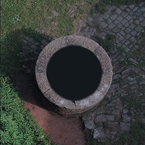 Neben dem Abyss [Vinyl LP] von FABRIKA