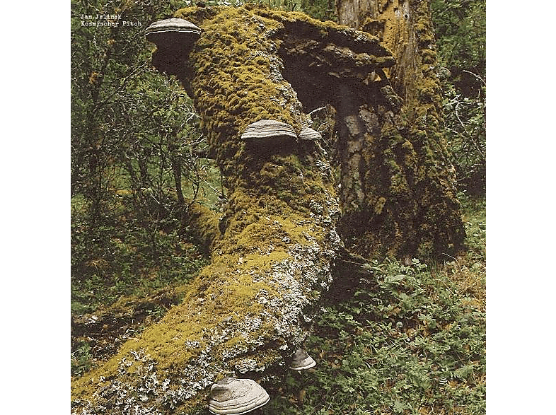 Jan Jelinek - Kosmischer Pitch (Reissue) (Vinyl) von FAITICHE
