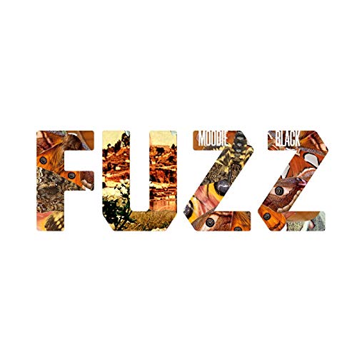 Fuzz [Vinyl LP] von FAKE FOUR INC.