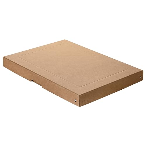 Original Falken PureBox Nature. Made in Germany. 40 mm hoch DIN A3. Aufbewahrungsbox mit Deckel aus stabilem Karton Vegan Geschenkbox Transportbox Schachtel Allzweckbox von FALKEN
