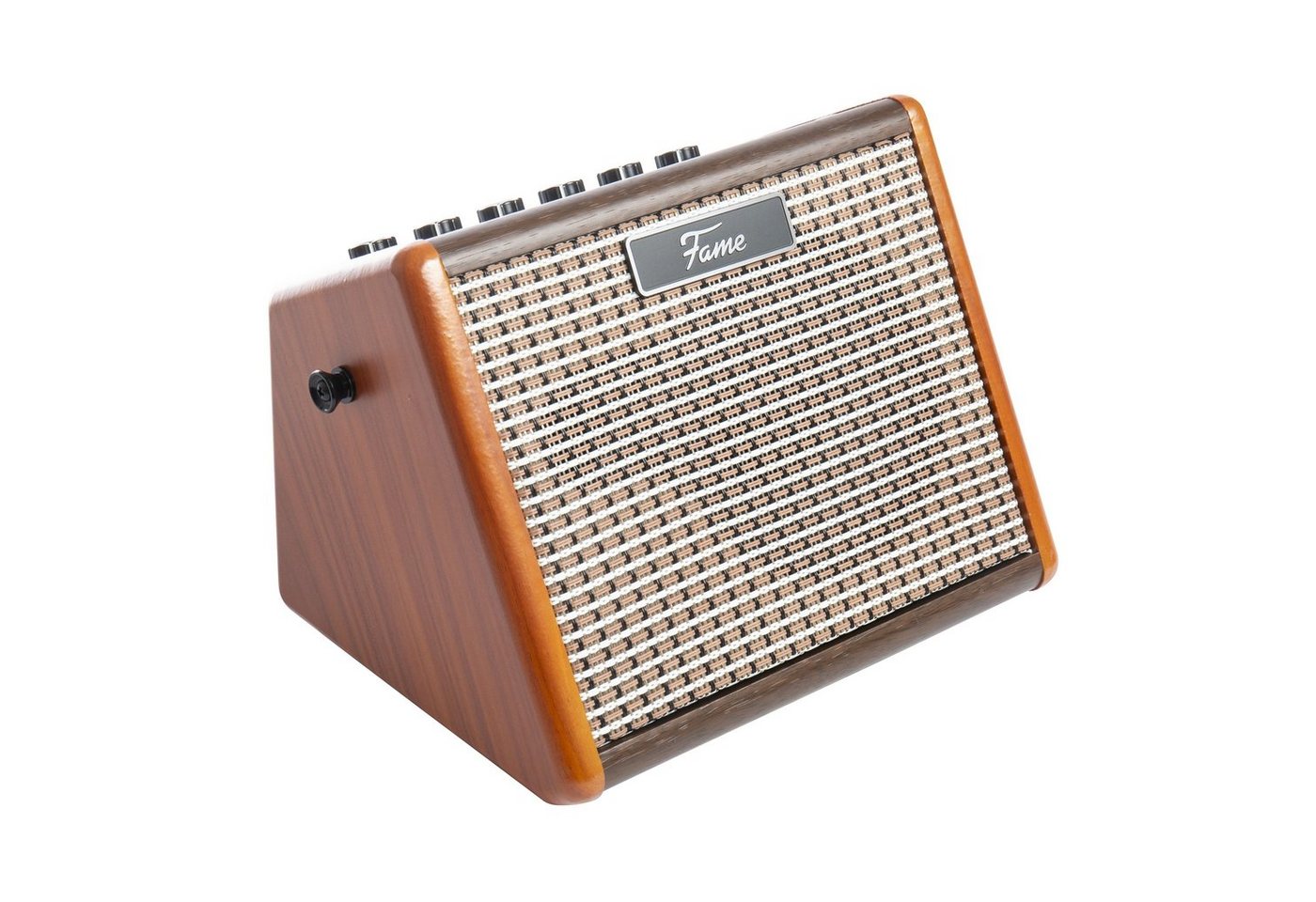 FAME Verstärker (Akustikgitarren Verstärker, Akkubetrieben, Bluetooth-Schnittstelle) von FAME