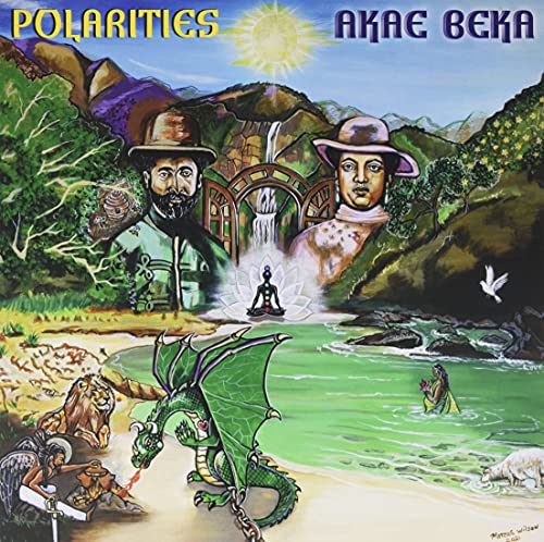 Polarities [Vinyl LP] von Vp Records