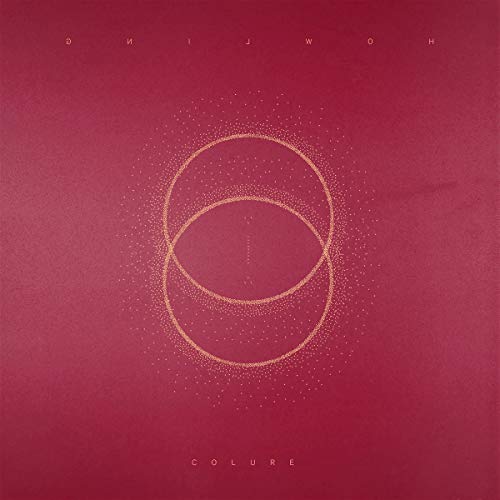 Colure (2lp+Mp3) [Vinyl LP] von FAMILY$ COUNTER RECO