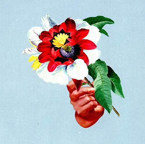Kingdoms in Colour von FAMILY$ COUNTER RECO