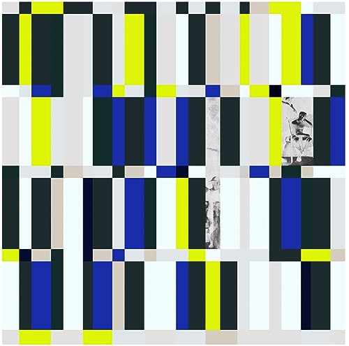 Monument [Vinyl LP] von FAMILY$ GONDWANA REC
