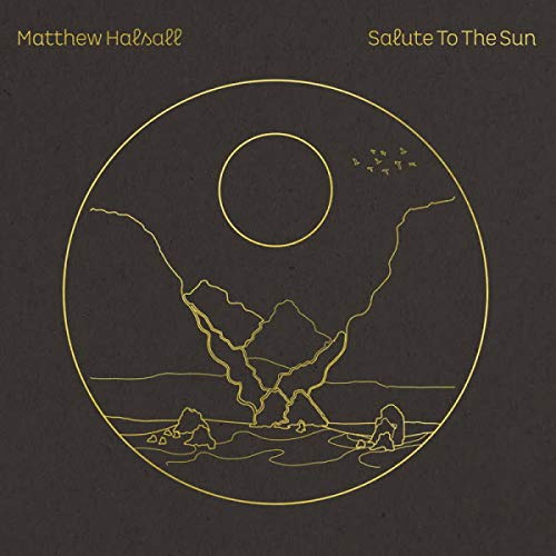 Salute to the Sun (2lp) [Vinyl LP] von FAMILY$ GONDWANA REC