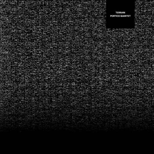 Terrain (Clear Vinyl) [Vinyl LP] von Gondwana Records
