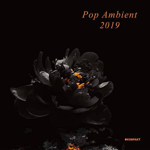 Pop Ambient 2019 (2lp/180g+Mp3) [Vinyl LP] von Kompakt