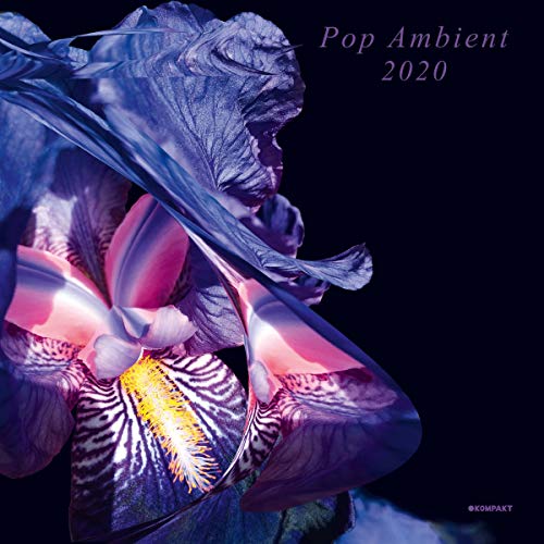 Pop Ambient 2020 (2lp+Artbook+Mp3) [Vinyl LP] von Kompakt