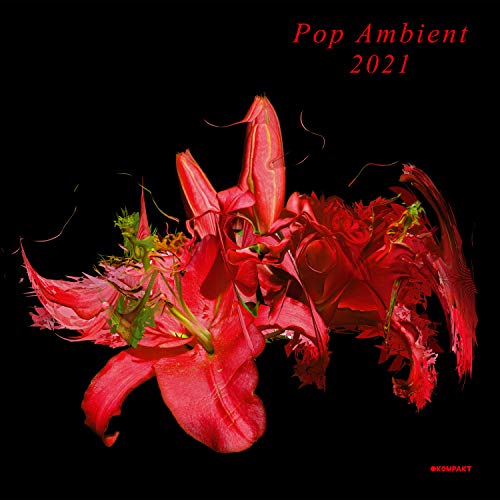 Pop Ambient 2021 (Lp+Mp3) [Vinyl LP] von Kompakt