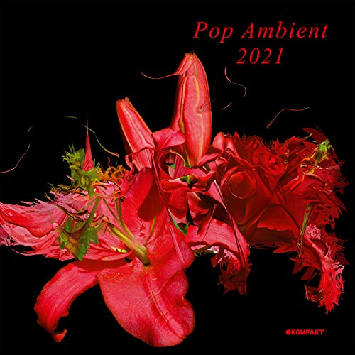 Pop Ambient 2021 Pop Ambient 2021 von Kompakt