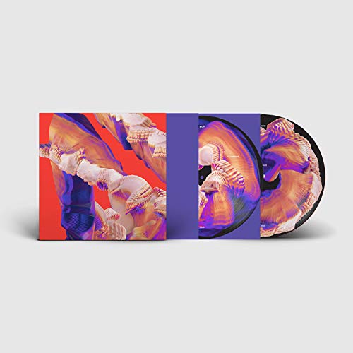 Isles (Picture Disc 2lp+Mp3) [Vinyl LP] von FAMILY NINJA TUNE