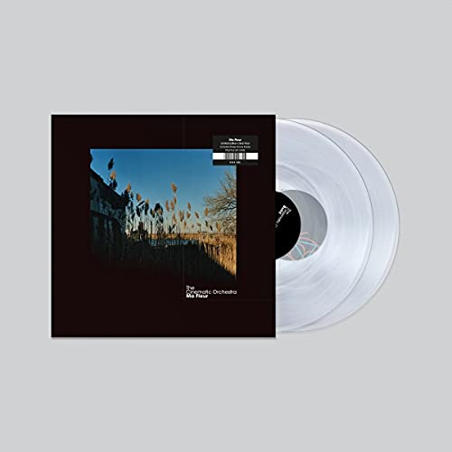 Ma Fleur (Ltd Clear 2lp + Bonus Tracks) [Vinyl LP] von FAMILY$ NINJA TUNE