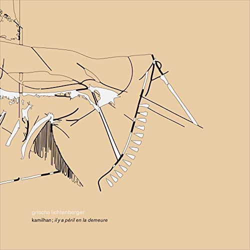 KAMILHAN il y a peril en la demeure [Vinyl LP] von FAMILY$ RASTER MOTON