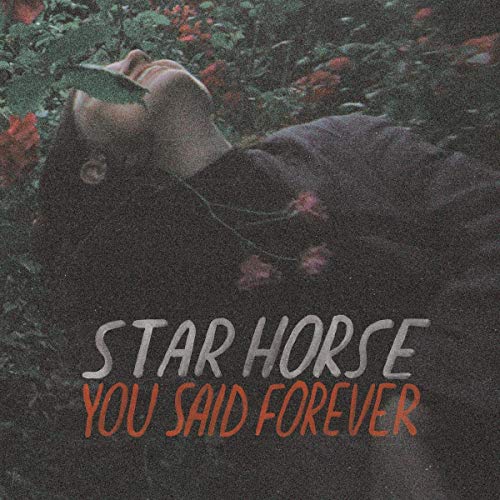 You Said Forever [Vinyl LP] von FAMILY$ STARTRACKS