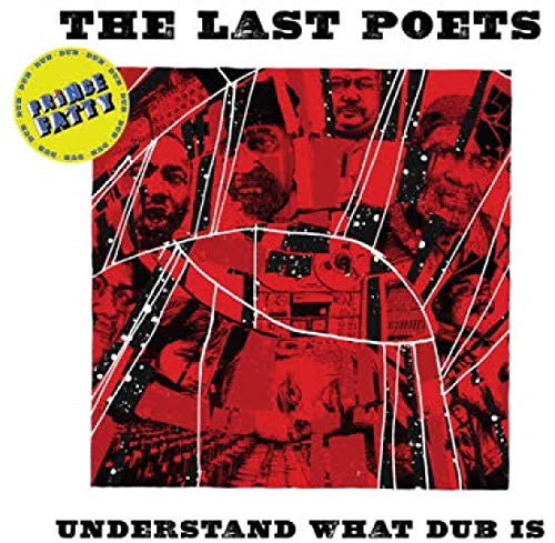 Understand What Dub Is [Vinyl LP] von FAMILY$ STUDIO ROCKE