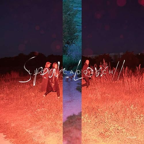 Speak Low II (Purple Colored) [Vinyl LP] von FAMILY$ WE JAZZ