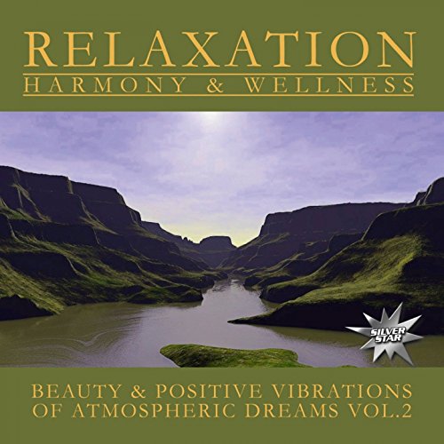 Atmospheric Dreams Vol.2 von ZYX Music