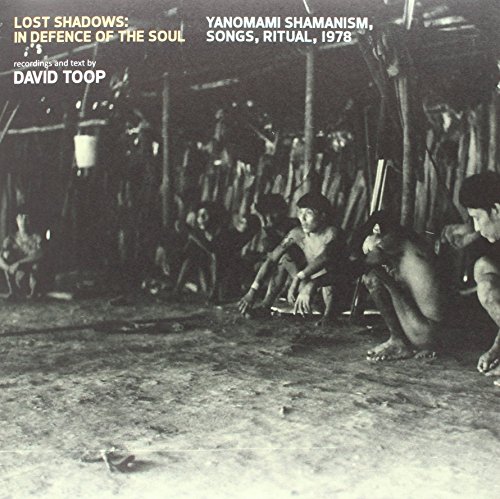 Lost Shadows: in Defence of the Soul [Vinyl LP] von FAMILY