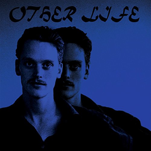 Other Life [Vinyl LP] von FAMILY